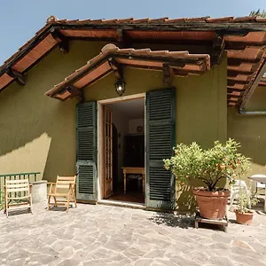 Gigli Di Firenze Rufina