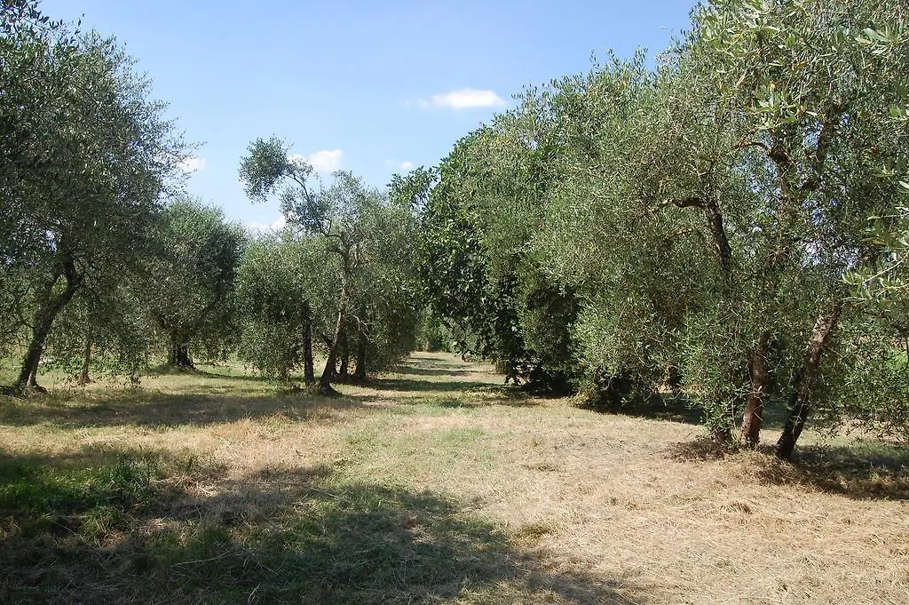 Affittacamere La Spiga D'Oro Pozzo  Casa di campagna