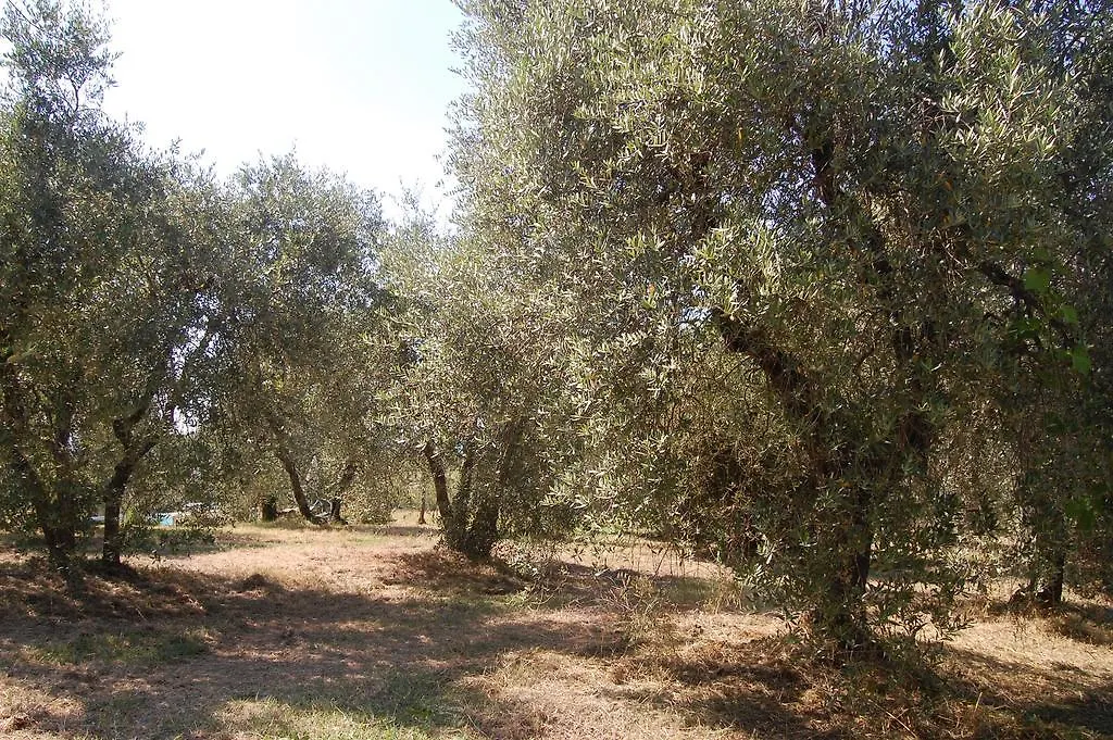 Country house La Spiga D'Oro Guest House Pozzo