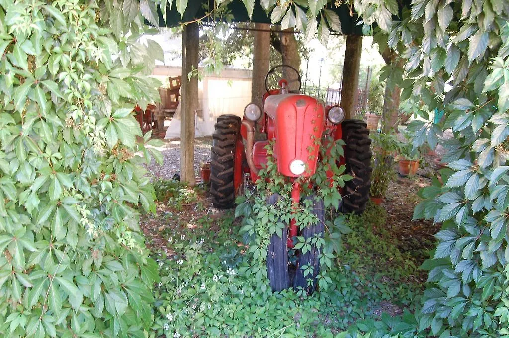 La Spiga D'Oro Guest House Pozzo  Italy