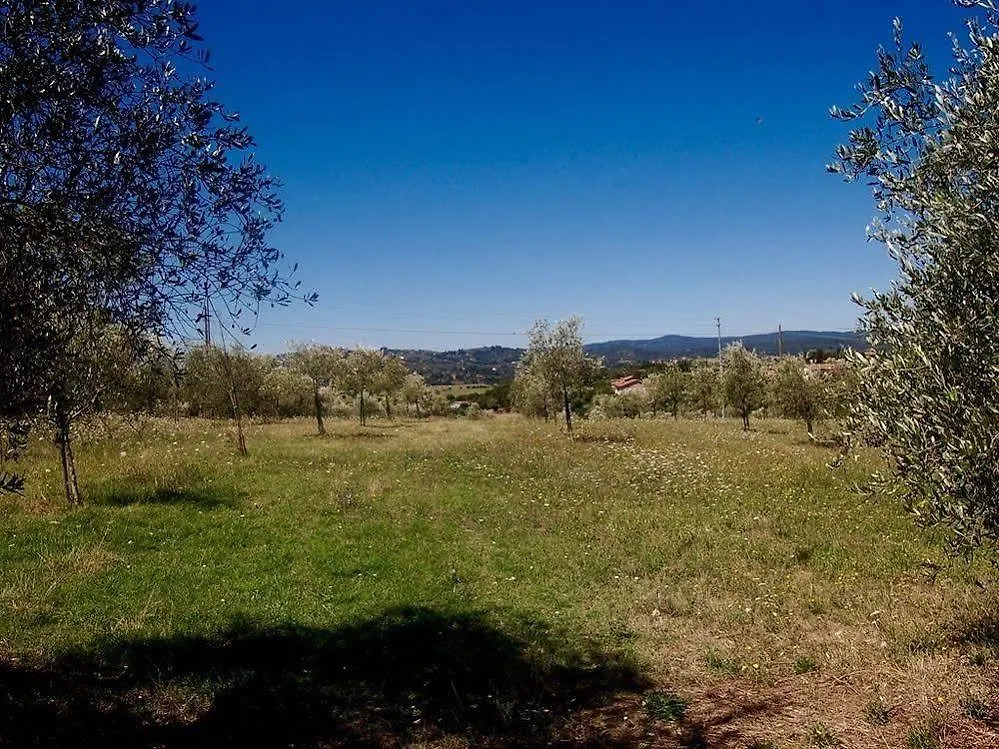 Country house La Spiga D'Oro Guest House Pozzo