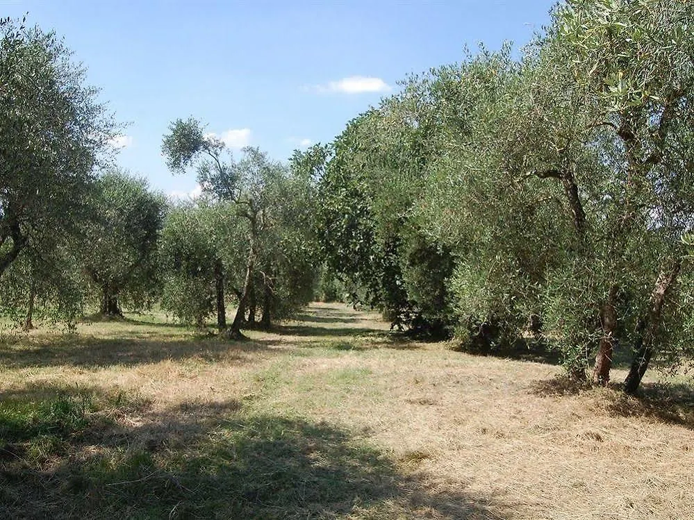 La Spiga D'Oro Guest House Pozzo  Italy