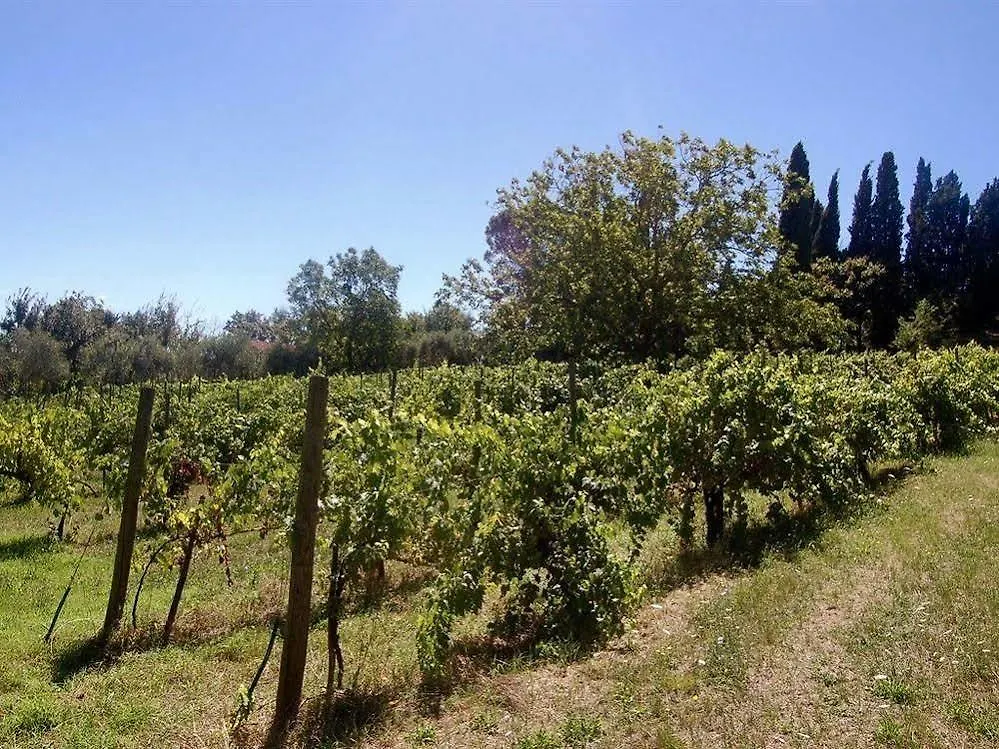La Spiga D'Oro Guest House Pozzo  Country house Pozzo (Arezzo)